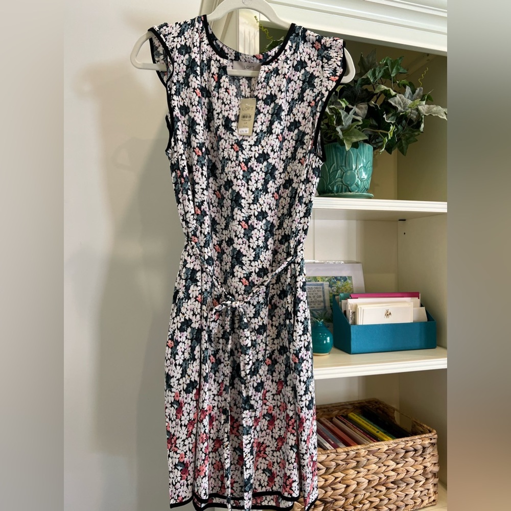 Ann Taylor Petite Dress